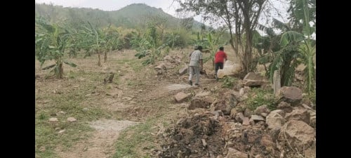 ដីលក់បន្ទាន់តានីទូកមាសជើងភ្នំសែនហាន