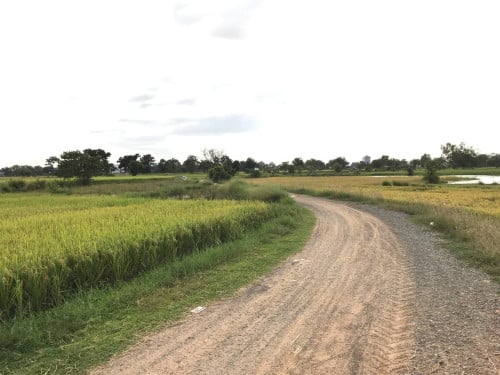 ដីក្បែរព្រលានយន្តហោះភ្នំពេញថ្មី  លក់បន្ទាន់ខ្លាំង-1755m2