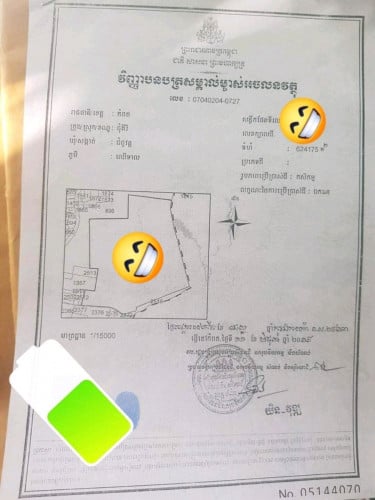 ដី៦២ ហិចតា ផ្លូវ៤១ ក្រោមទីផ្សារ ៣០%