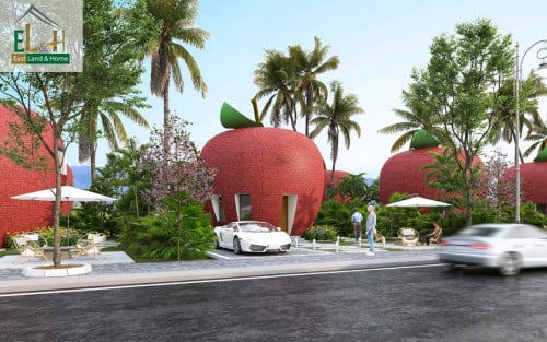 ប្រភេទផ្ទះផ្លែប៉ោម