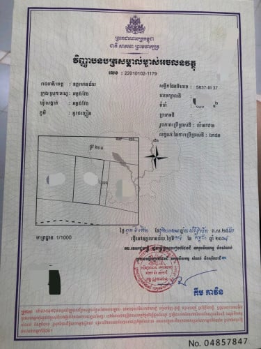 ដីផ្សារ