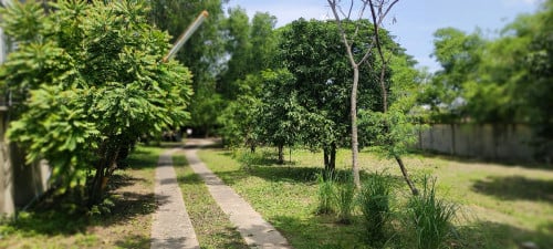 Beautiful land and house