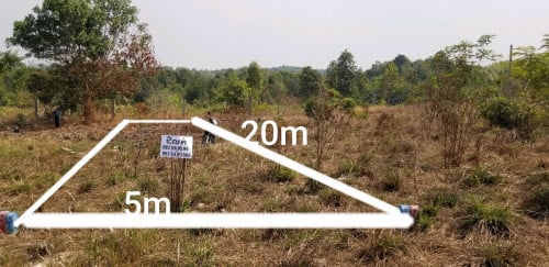 ដីលក់ នៅជិតផ្សារភូមិថ្មី