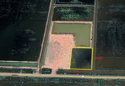 ដីលក់ជាប់ផ្លូវ6A ទំហំ100x100 តម្លៃ10$/m2