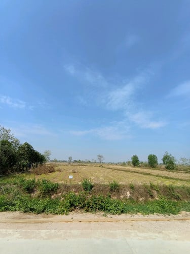 លក់ដីបន្ទាន់ទំហំ1650m2