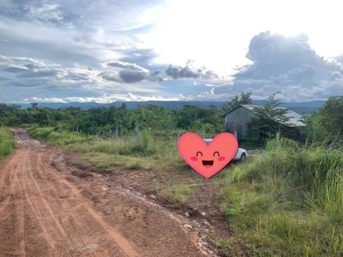 ដី និងផ្ទះឈើ ជួលធូរថ្លៃនៅខេត្តកំពត $200/ហិកតា-Land and Wooden House for Rent at Kampot Province