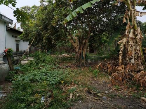 ដីភូមិទំហំ 7.5*28  តម្លៃចរចា​