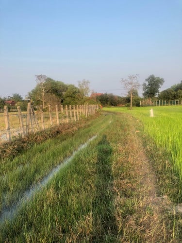 ដី អាច យកធ្វើផ្ទះត្រចៀកកាំ សម្បូរទឹកជិតនឹង ជិត វត្តល្អក់ តម្លៃក្រោមទីផ្សារ