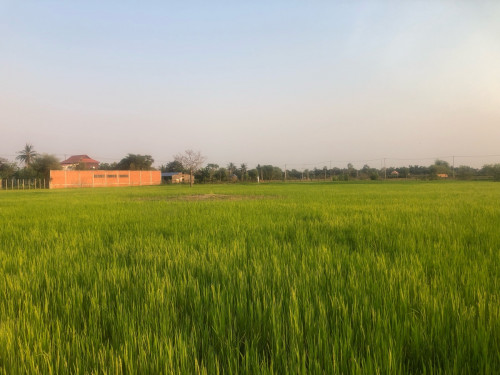 ដី អាច យកធ្វើផ្ទះត្រចៀកកាំ សម្បូរទឹកជិតនឹង ជិត វត្តល្អក់ តម្លៃក្រោមទីផ្សារ