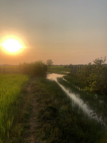 ដី អាច យកធ្វើផ្ទះត្រចៀកកាំ សម្បូរទឹកជិតនឹង ជិត វត្តល្អក់ តម្លៃក្រោមទីផ្សារ