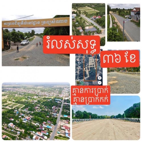 ដីឡូត៍
