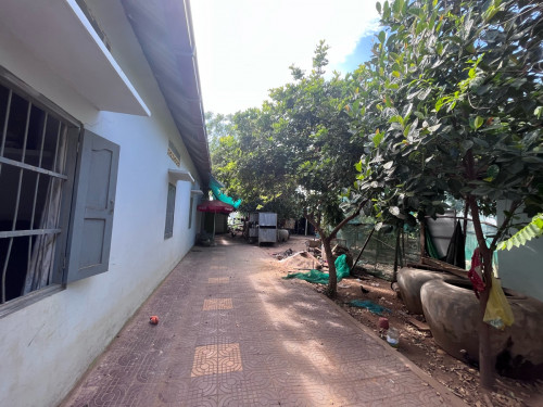 ចរចារ