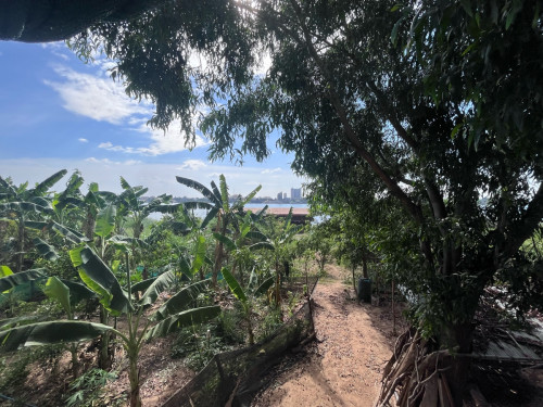 ចរចារ