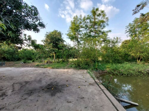 ដីកសិដ្ឋានសម្រាប់លក់នៅជិតផ្សារនរា.