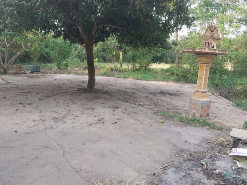 ដីកសិដ្ឋានសម្រាប់លក់នៅជិតផ្សារនរា.