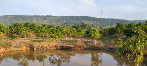 លក់ដីបន្ទាន់