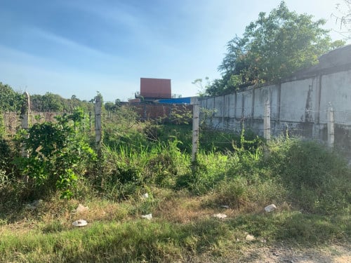 ដីលក់បន្ទាន់ 10m x 30m