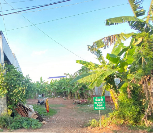 #ដីសម្រាប់លក់-