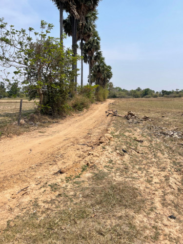 ដីលក់បន្ទាន់
