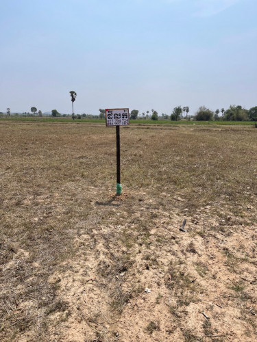 ដីលក់បន្ទាន់