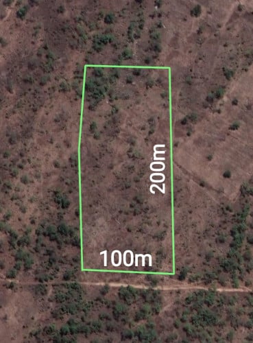 ២ហិចតា កន្លះ