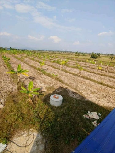 ដីចម្ការសម្រាប់លក់