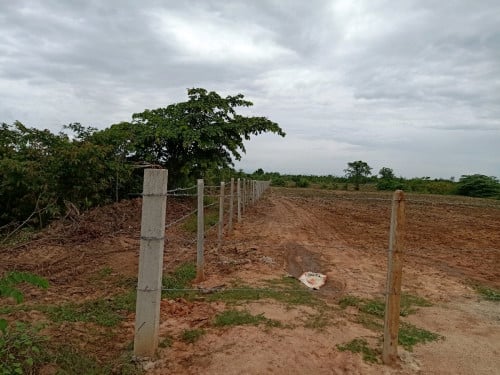 ដីចម្ការសម្រាប់លក់
