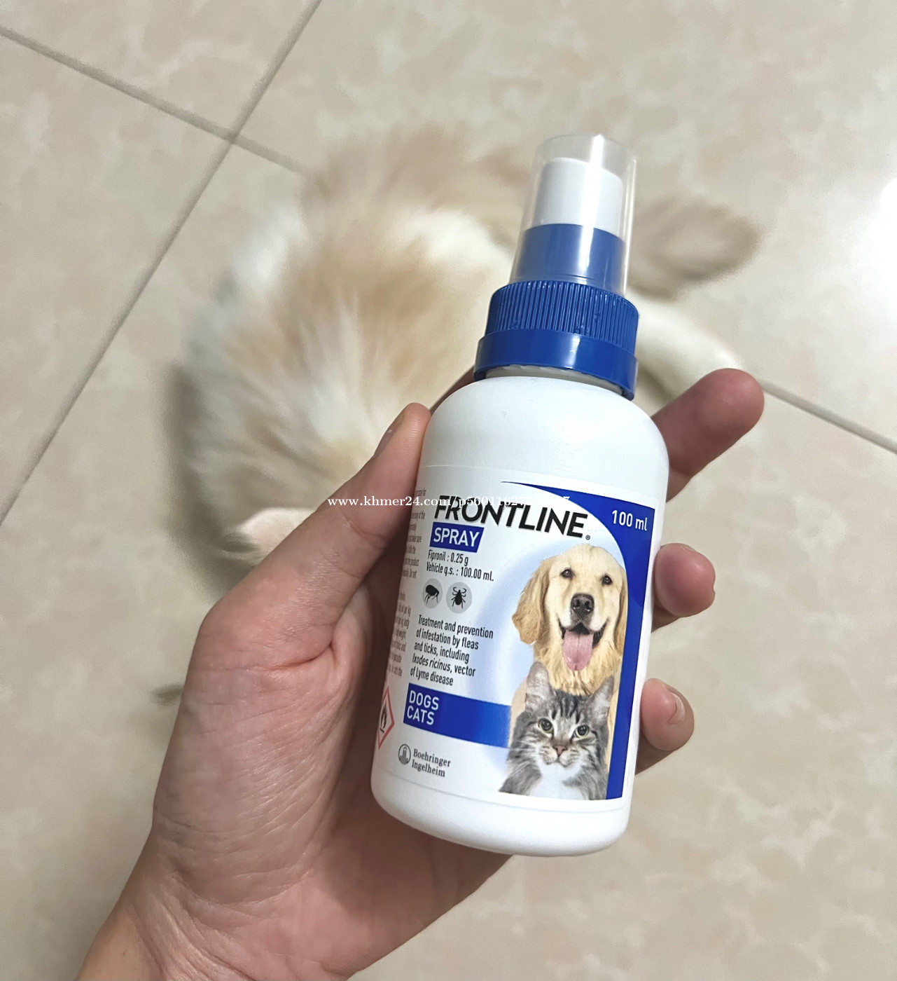 Frontline Spray for dogs & cats Price $7.00 in Phnom Penh, Cambodia - Danet