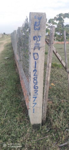 ដីលក់បន្ទាន់