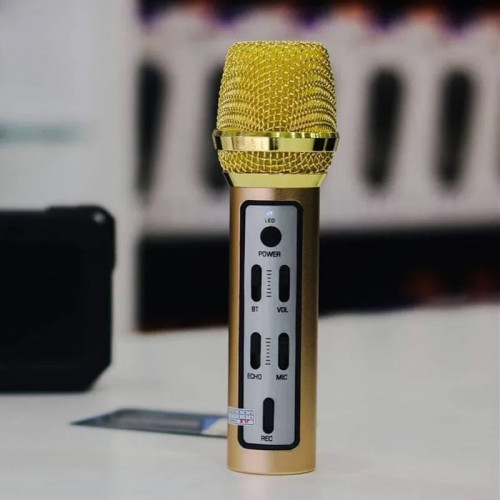 Mini KTV Microphone