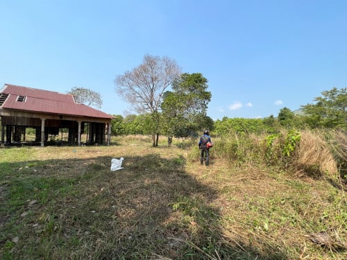 (ដីប្លង់រឹង) ដីស្អាតជាប់មាត់ស្ទឹង អាចដាំដំណាំ ឫ រីស៊តបាន នៅក្បែររមណីយដ្ឋាន ថ្មរូង