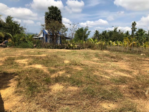 ដីលក់បន្ទាន់