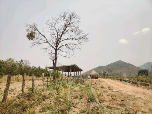 ដីលក់ Land for sale - កំពង់ស្ពឺ ជាប់នឹងម៉ុងរិទ្ធីសែនជ័យ