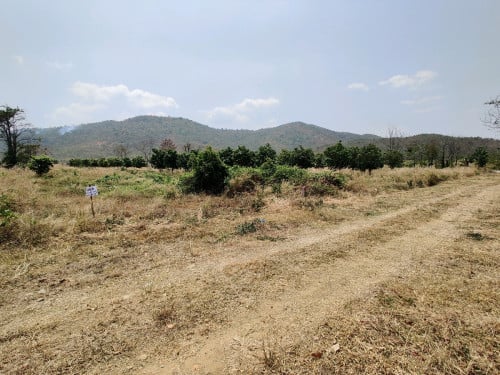ដីលក់ Land for sale - កំពង់ស្ពឺ ជាប់នឹងម៉ុងរិទ្ធីសែនជ័យ