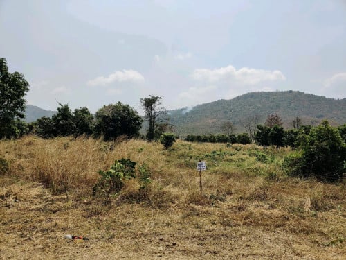 ដីលក់ Land for sale - កំពង់ស្ពឺ ជាប់នឹងម៉ុងរិទ្ធីសែនជ័យ