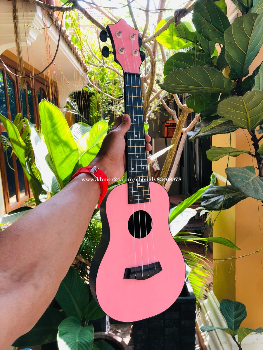 Ukulele Price 3 in Phnom Penh, Cambodia chengly