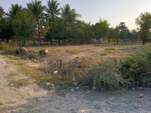 ដីកែង ផ្លូវ51