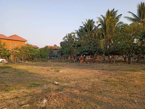 ដីកែង ផ្លូវ51