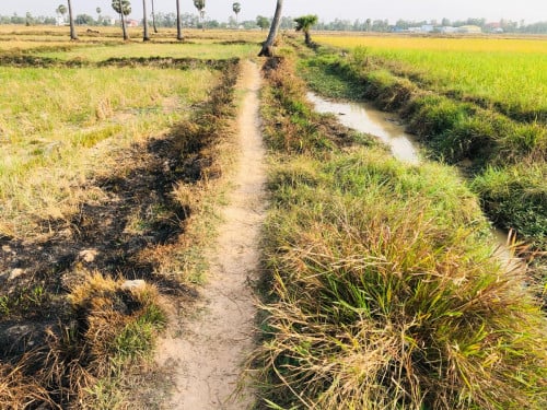 Land for sale កំបូល