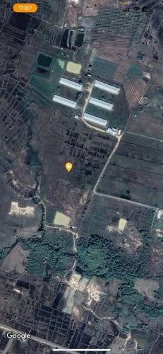 ដី3.5ហិចតាជួល១ឆ្នាំតែ 1000$