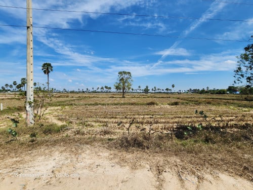 ដីលក់បន្ទាន់ខាងកើតផ្លូវជាតិ 41