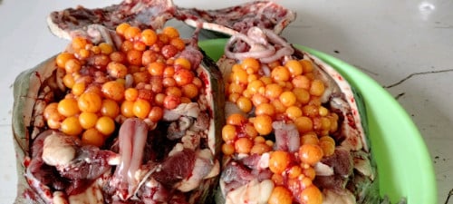 បោះដុំកន្ធាយឆ្ងាញ់សៀមរាប