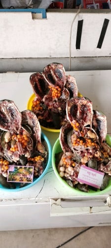 បោះដុំលក់រាយកន្ធាយញីពងគ្របើខ្នាត់ផ្ញើរជូន25ខេត្តក្រុង