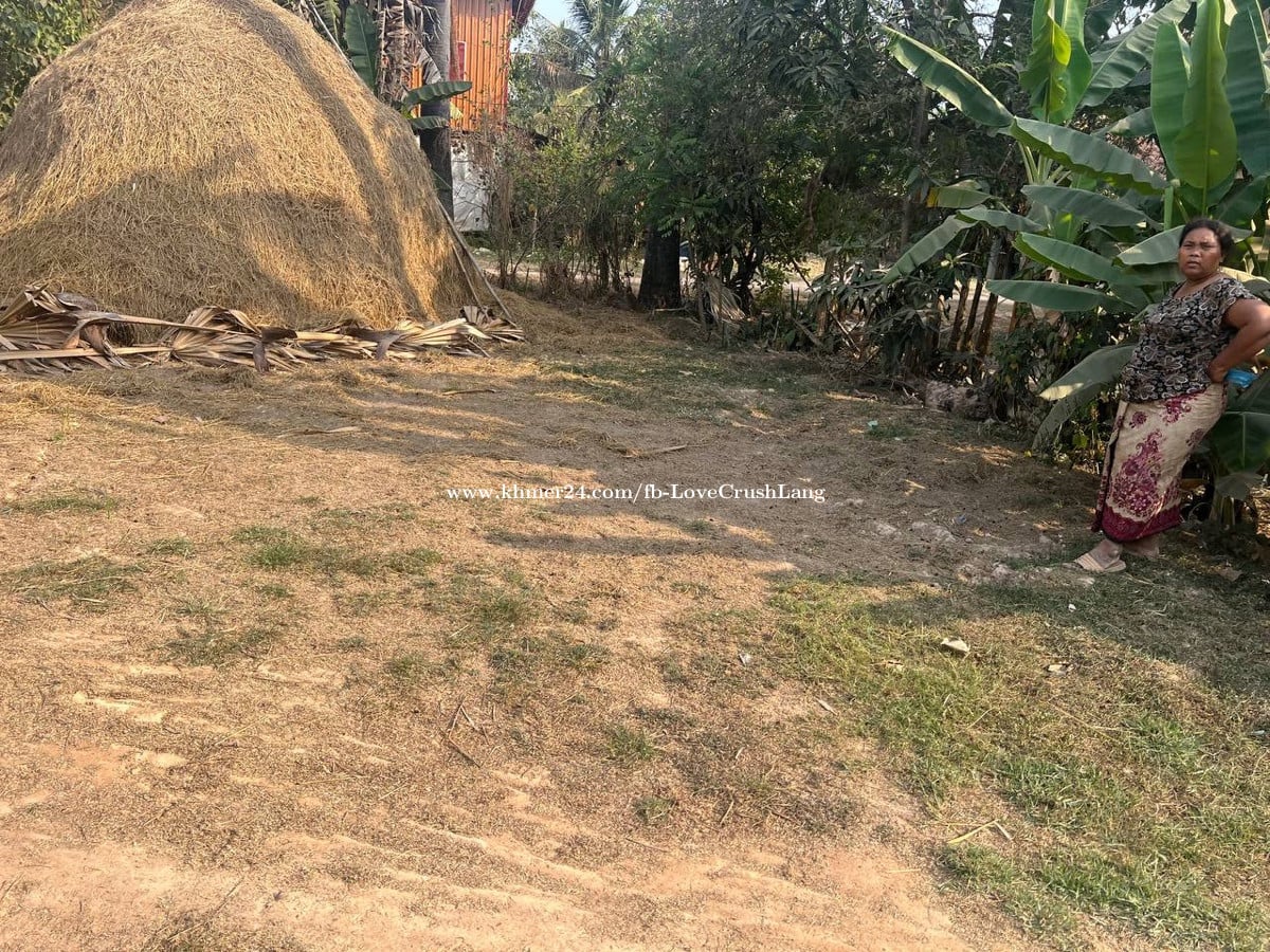 ដីលក់