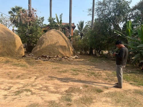 ដីលក់