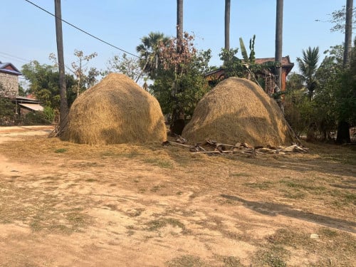 ដីលក់