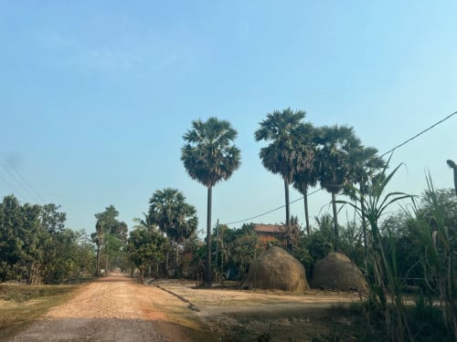 ដីលក់