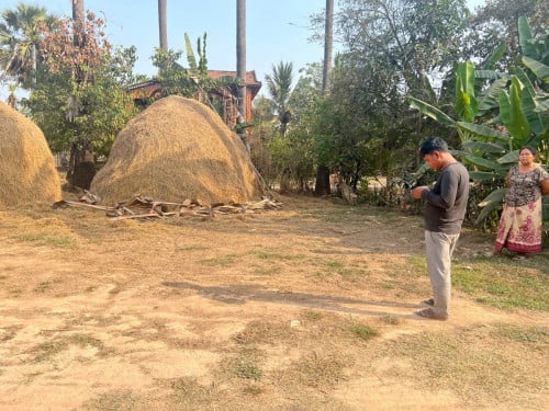 ដីលក់
