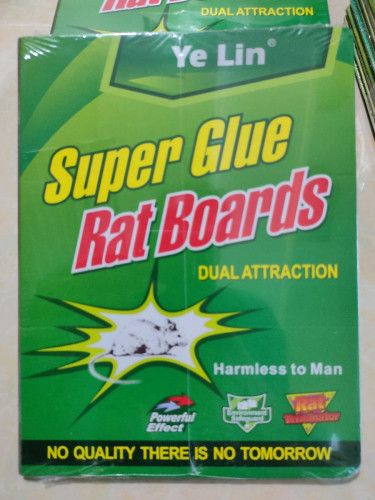 Mouse- Rat glue trap 🪤ជ័រកាវដាក់កណ្ដុរ Super Glue Price $7 in Phnom