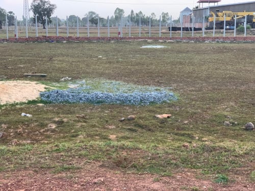 ប្លង់រឹង